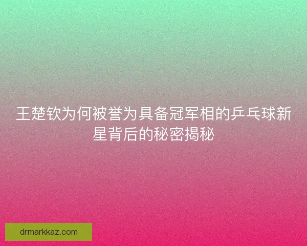 王楚钦为何被誉为具备冠军相的乒乓球新星背后的秘密揭秘