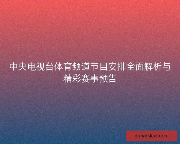 中央电视台体育频道节目安排全面解析与精彩赛事预告